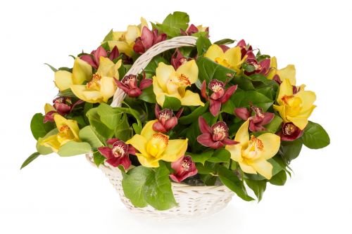 Заказать корзину орхидей микс с доставкой по Буинску